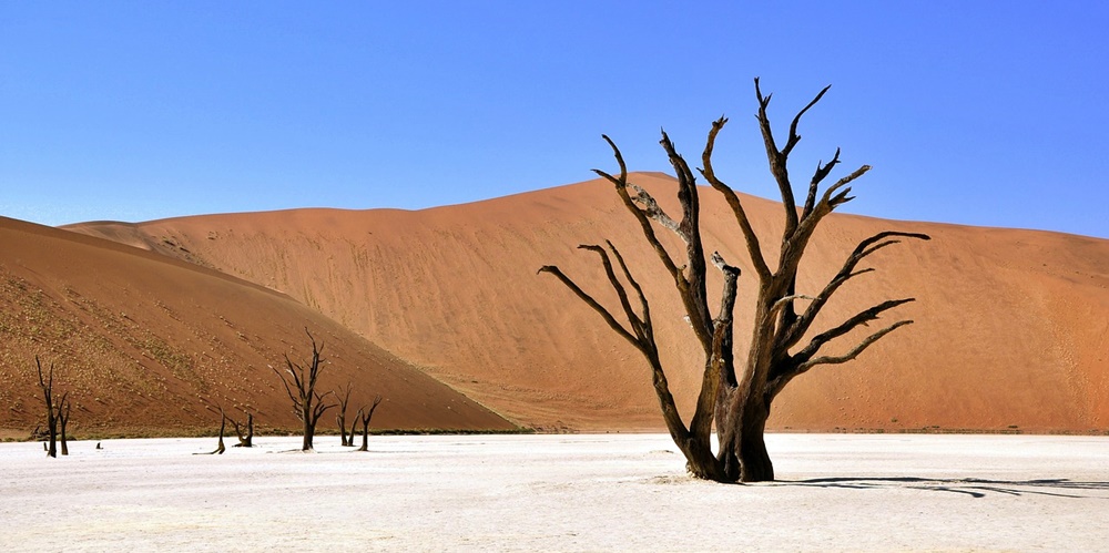 Afrika Reise - Wüste Namibia