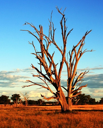 Australien Reisen - Outback