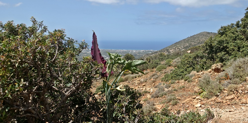 Kreta Natur