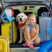 reisen mit dem Haustier - Hund und Campingurlaub